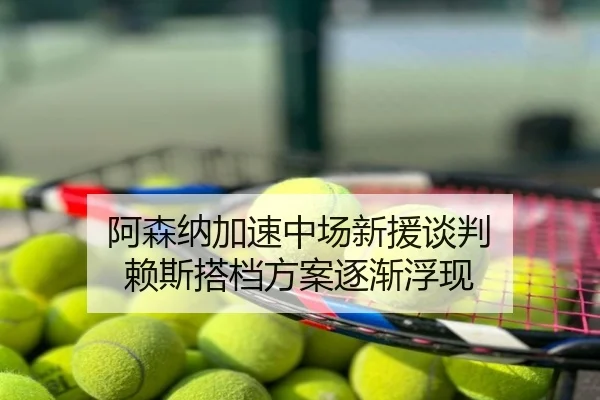 阿森纳加速中场新援谈判 赖斯搭档方案逐渐浮现